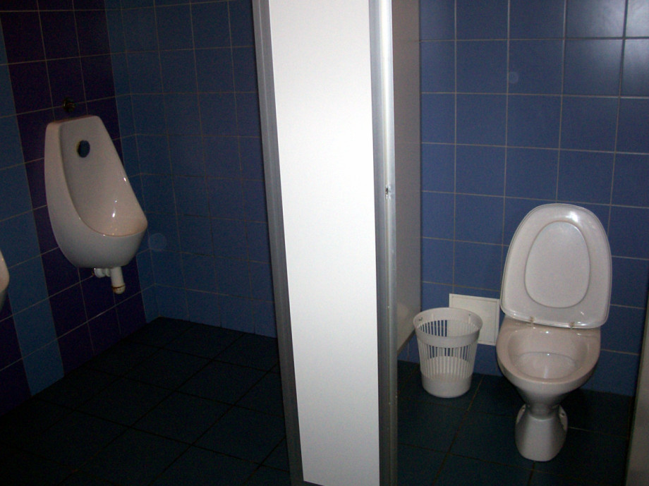 Туалет в Пулково-2. Изображение 1