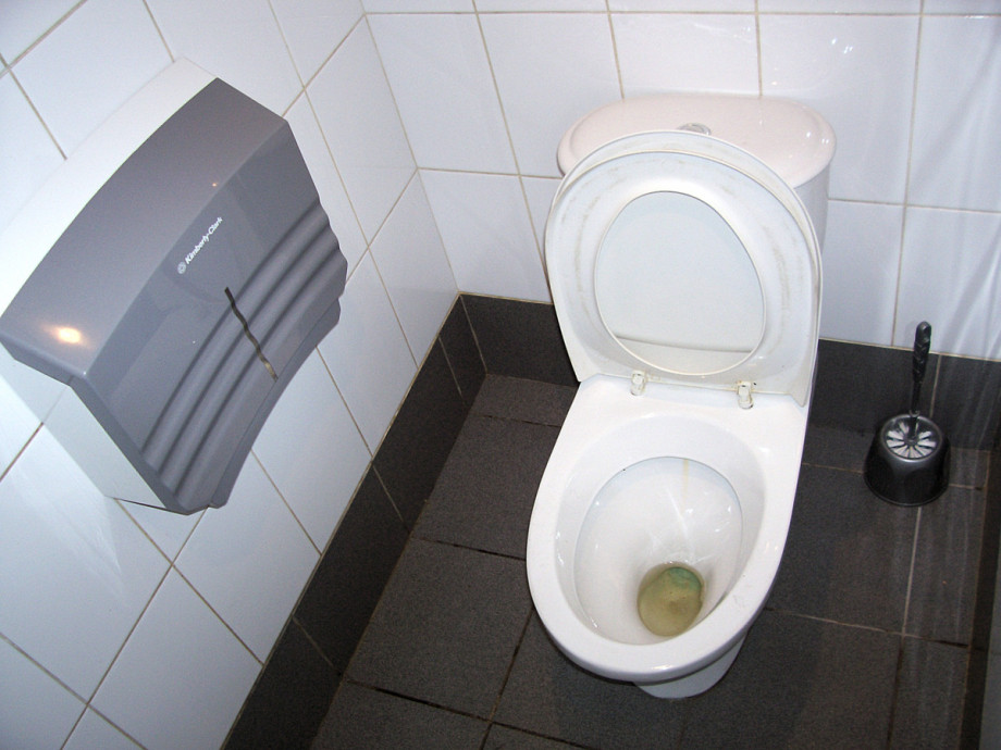 Туалет в Теремке на Невском. Изображение 2