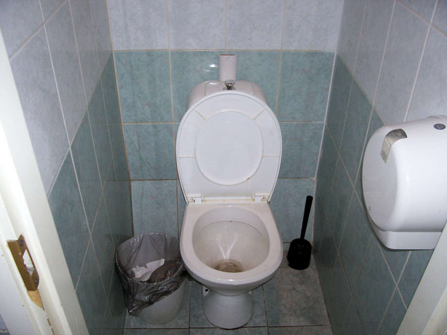 Туалет "Пирогового дворика". Изображение 3