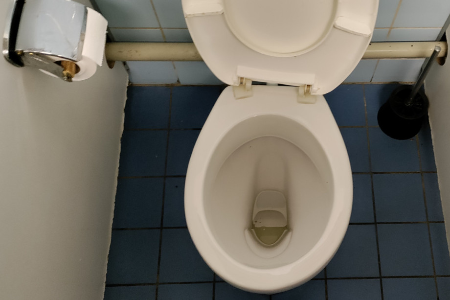 Туалет на ипподроме в Мариендорфе. Изображение 5