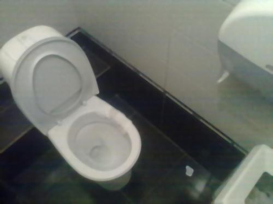 Туалет ресторана Абрикосовъ. Изображение 2