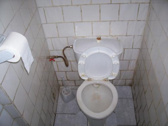 Туалет в кафе на Белоостровской улице