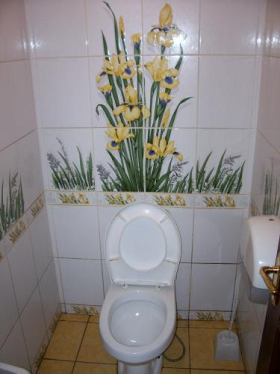 Туалет с цветами на стенах в "Огороде"