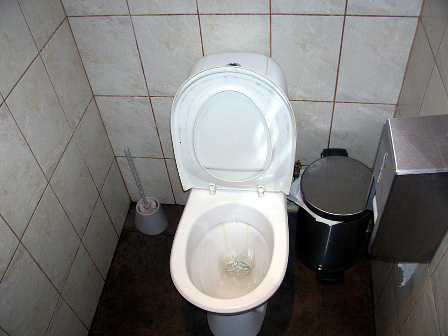 Туалет в Шоколаднице на Невском. Изображение 1