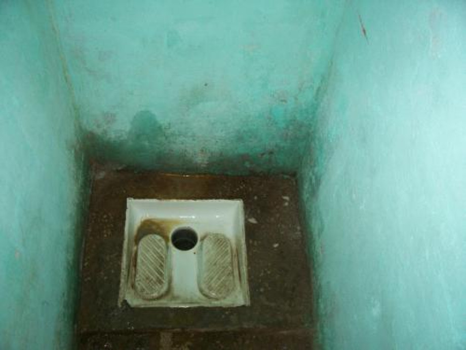 Расписной туалет посреди соленого озера Шотт-эль-Джерид. Изображение 2