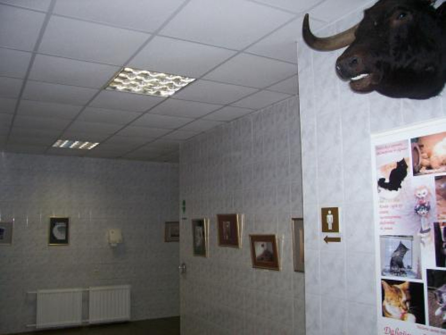 Туалет-выставка на территории Спасо-Преображенского монастыря. Изображение 3