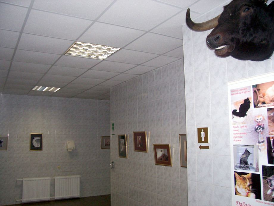 Туалет-выставка на территории Спасо-Преображенского монастыря. Изображение 1
