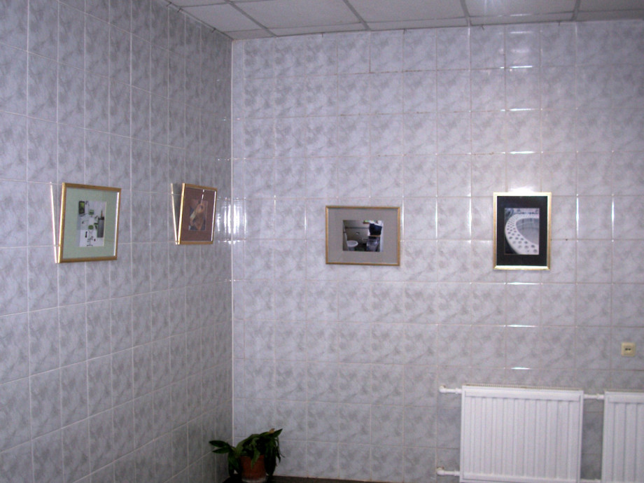 Туалет-выставка на территории Спасо-Преображенского монастыря. Изображение 4