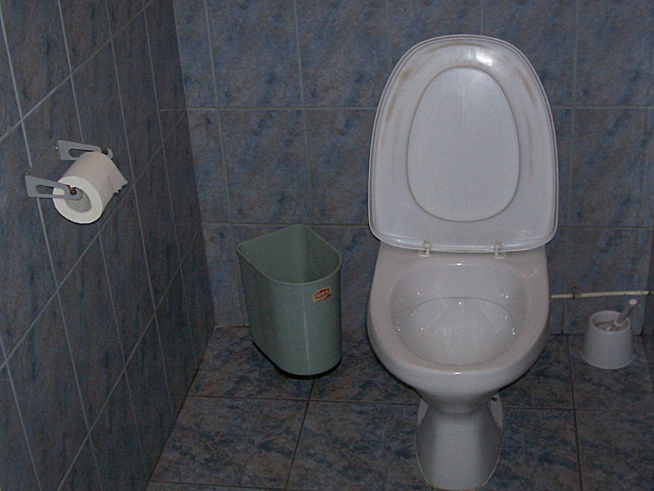 Туалет в новгородской столовке. Изображение 2