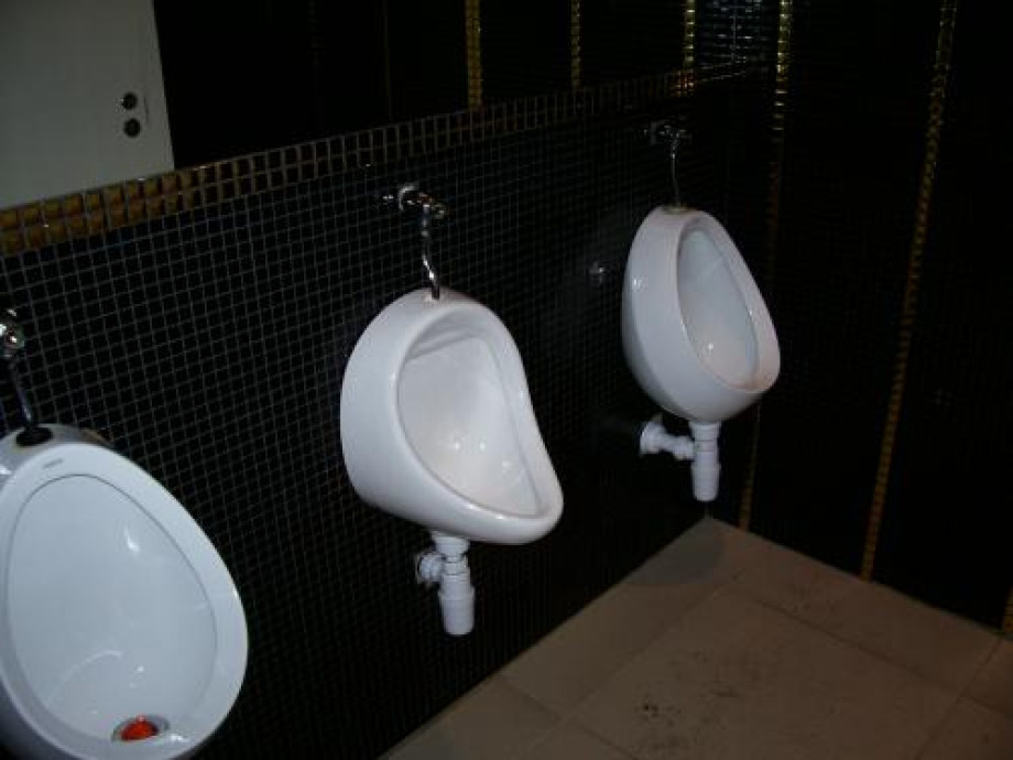 Туалет в гамбургерной "Карлс Джуниор". Изображение 2