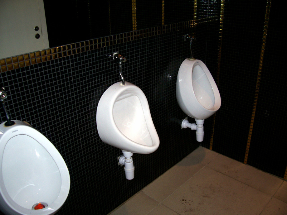 Туалет в гамбургерной Карл'с Джуниор. Изображение 1
