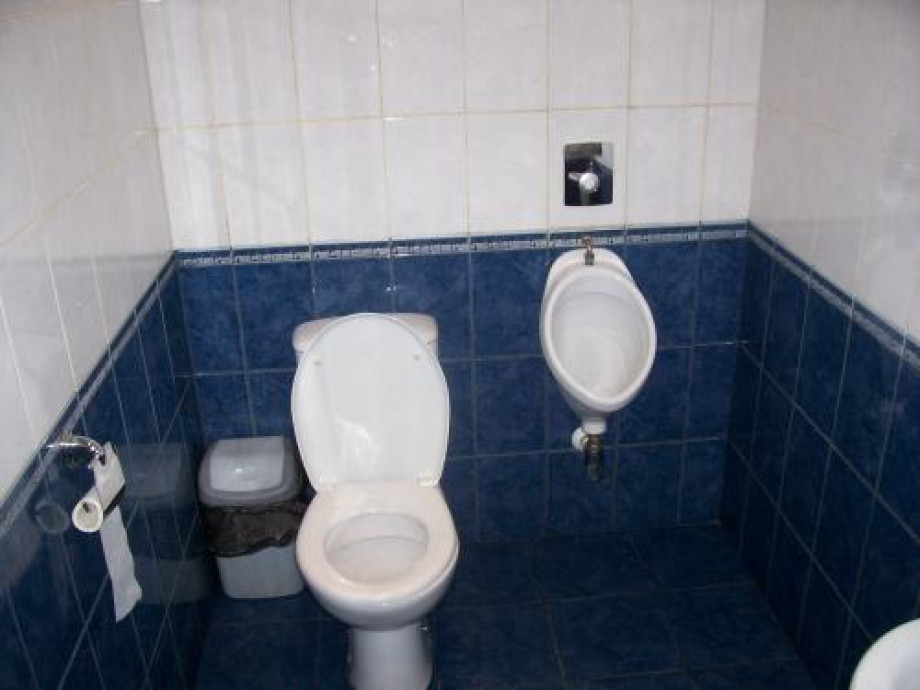 Туалет ивангородского Витязя. Изображение 1