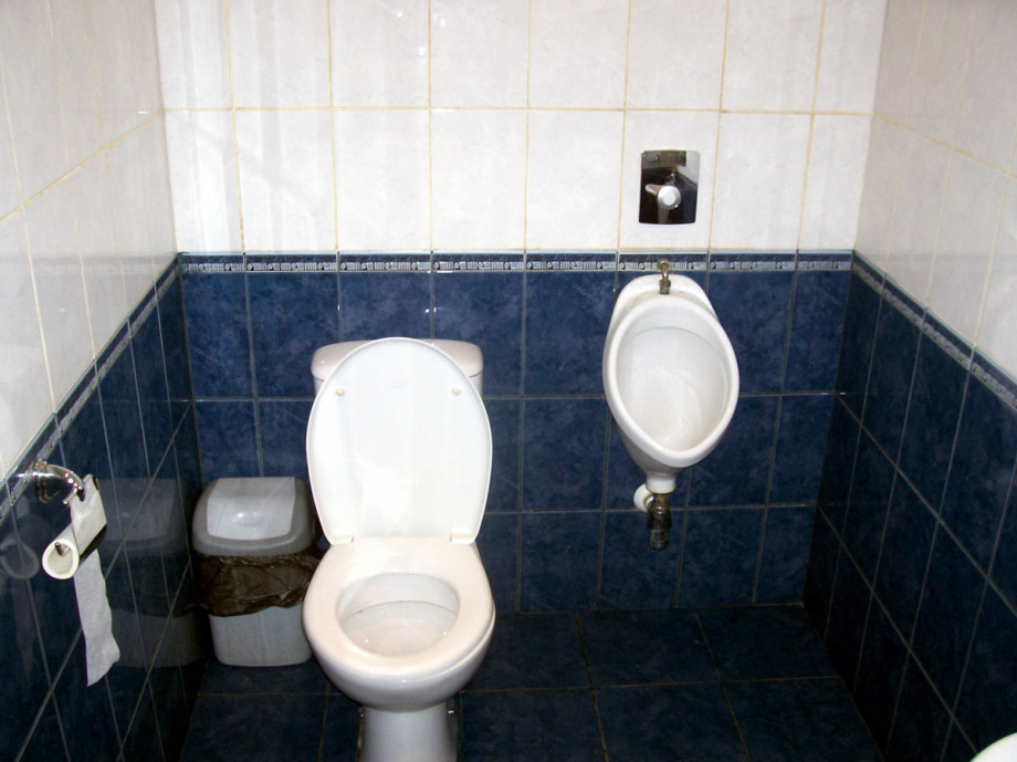 Туалет ивангородского Витязя. Изображение 3