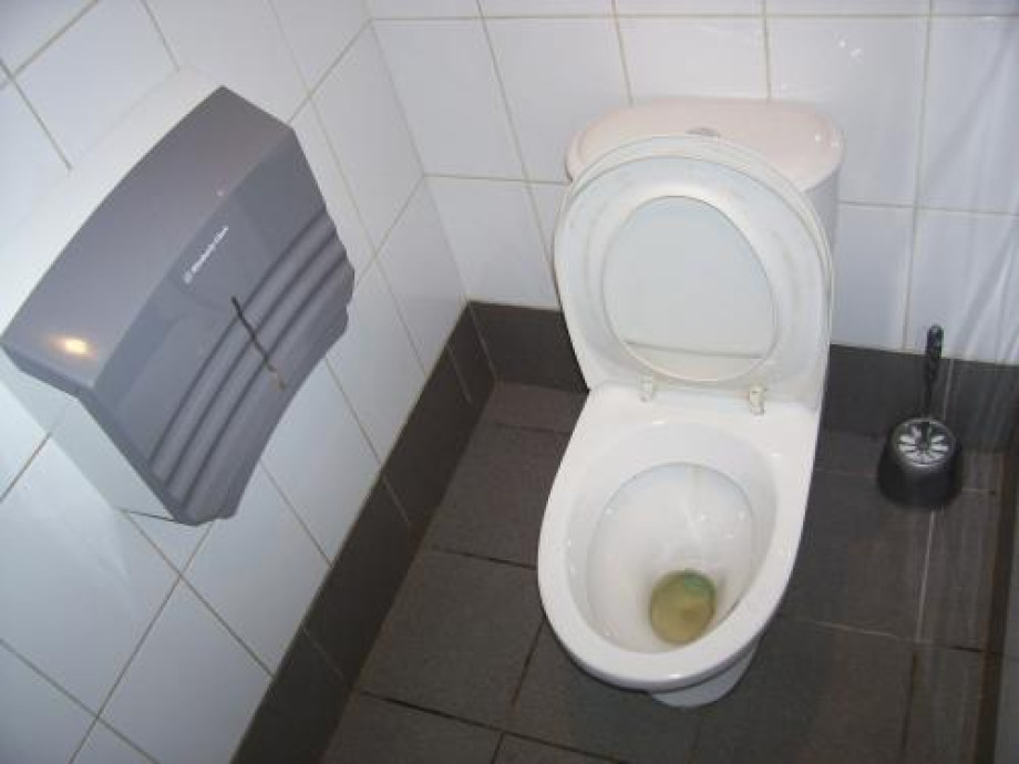 Туалет в "Теремке" на Невском. Изображение 1