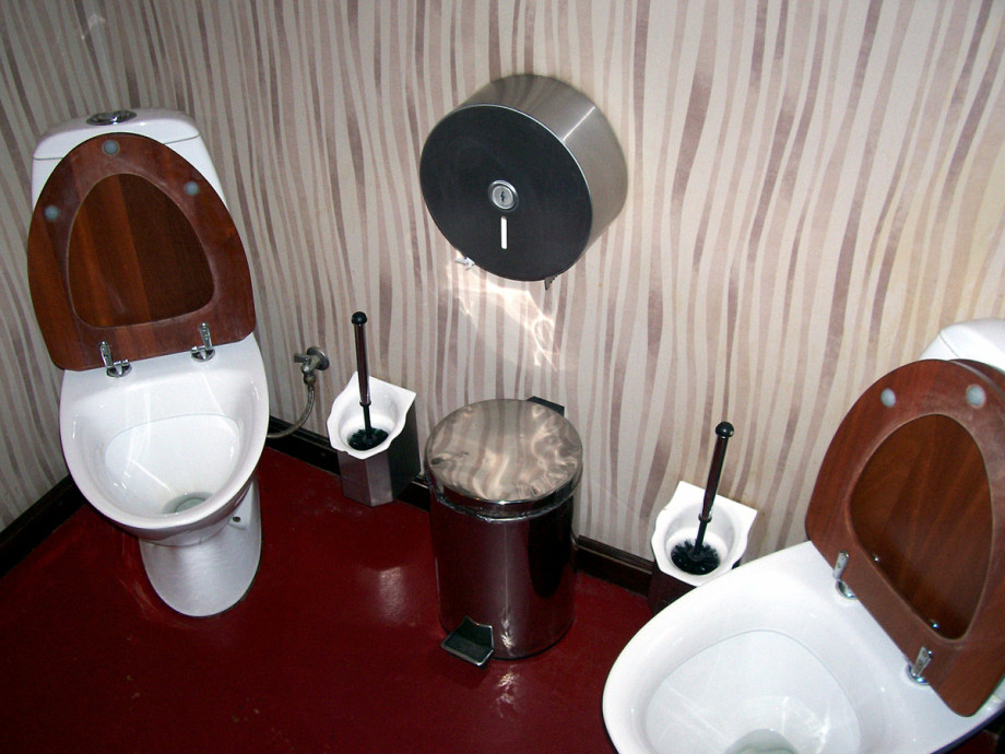 Туалеты в Двух палочках. Изображение 3
