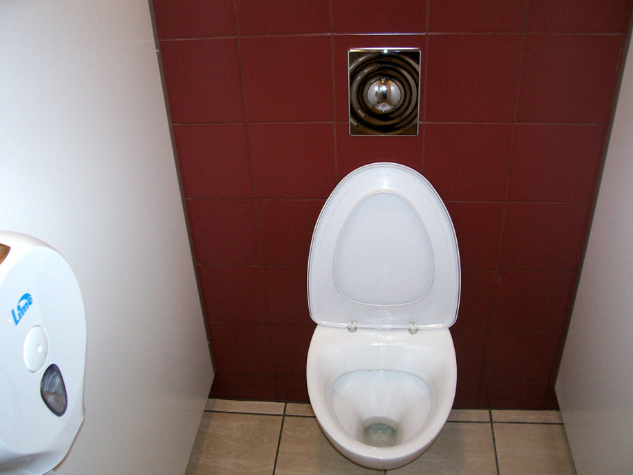 Туалет в ТРК Родео-Драйв. Изображение 5