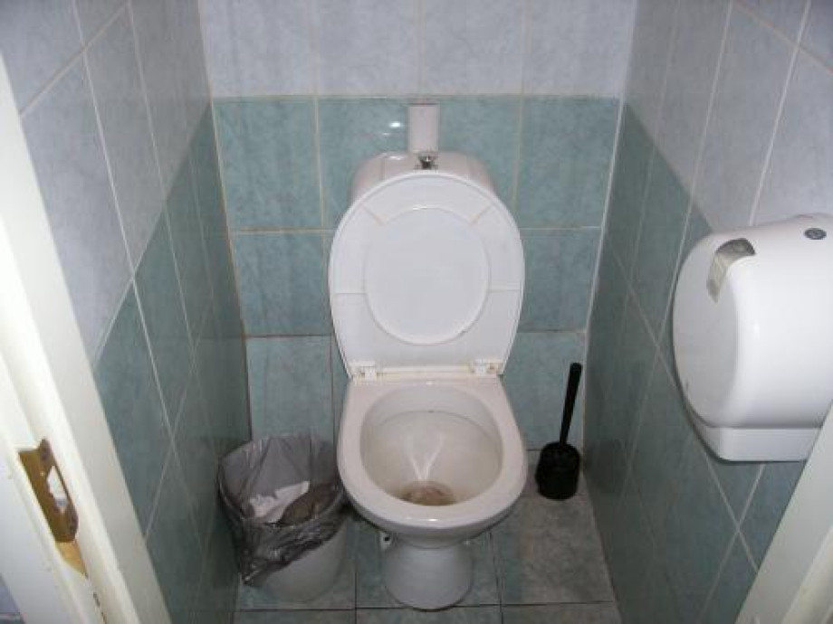 Туалет "Пирогового дворика". Изображение 1