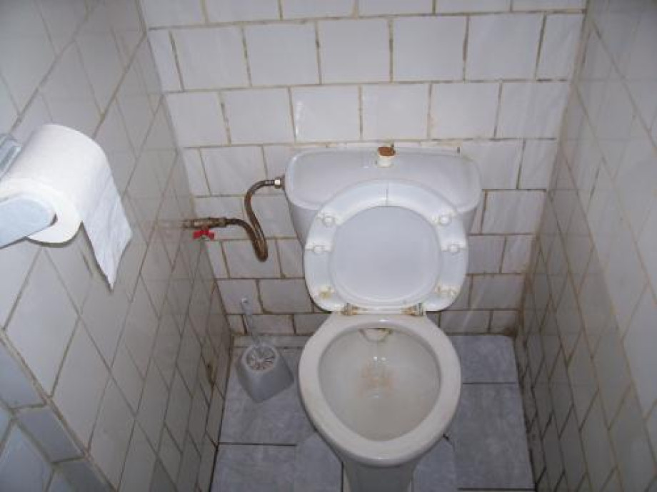 Туалет в кафе на Белоостровской улице. Изображение 1