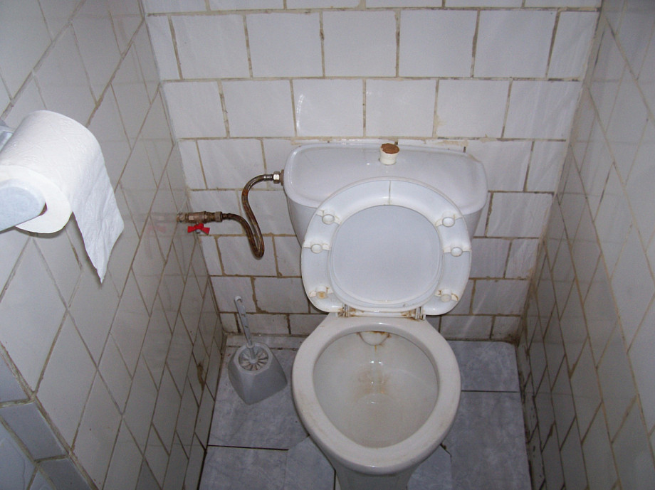 Туалет в кафе на Белоостровской улице. Изображение 2