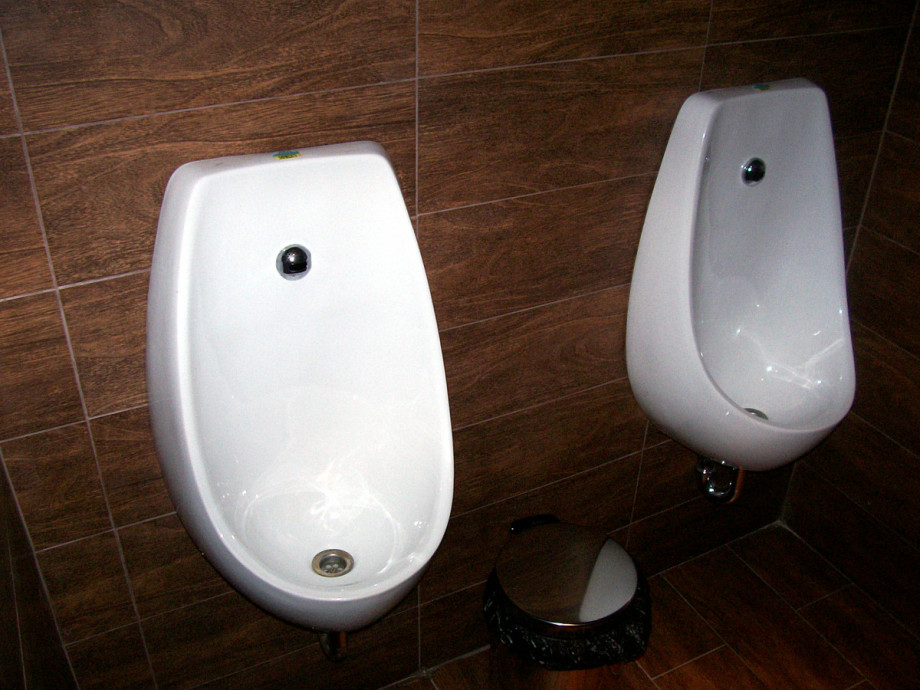 Туалет в Палках. Изображение 3