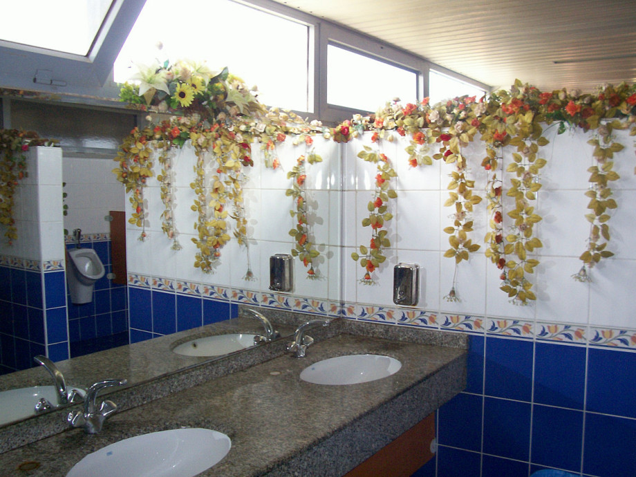 Туалет на заправке VIMax недалеко от поселка Gündoğdu. Изображение 2