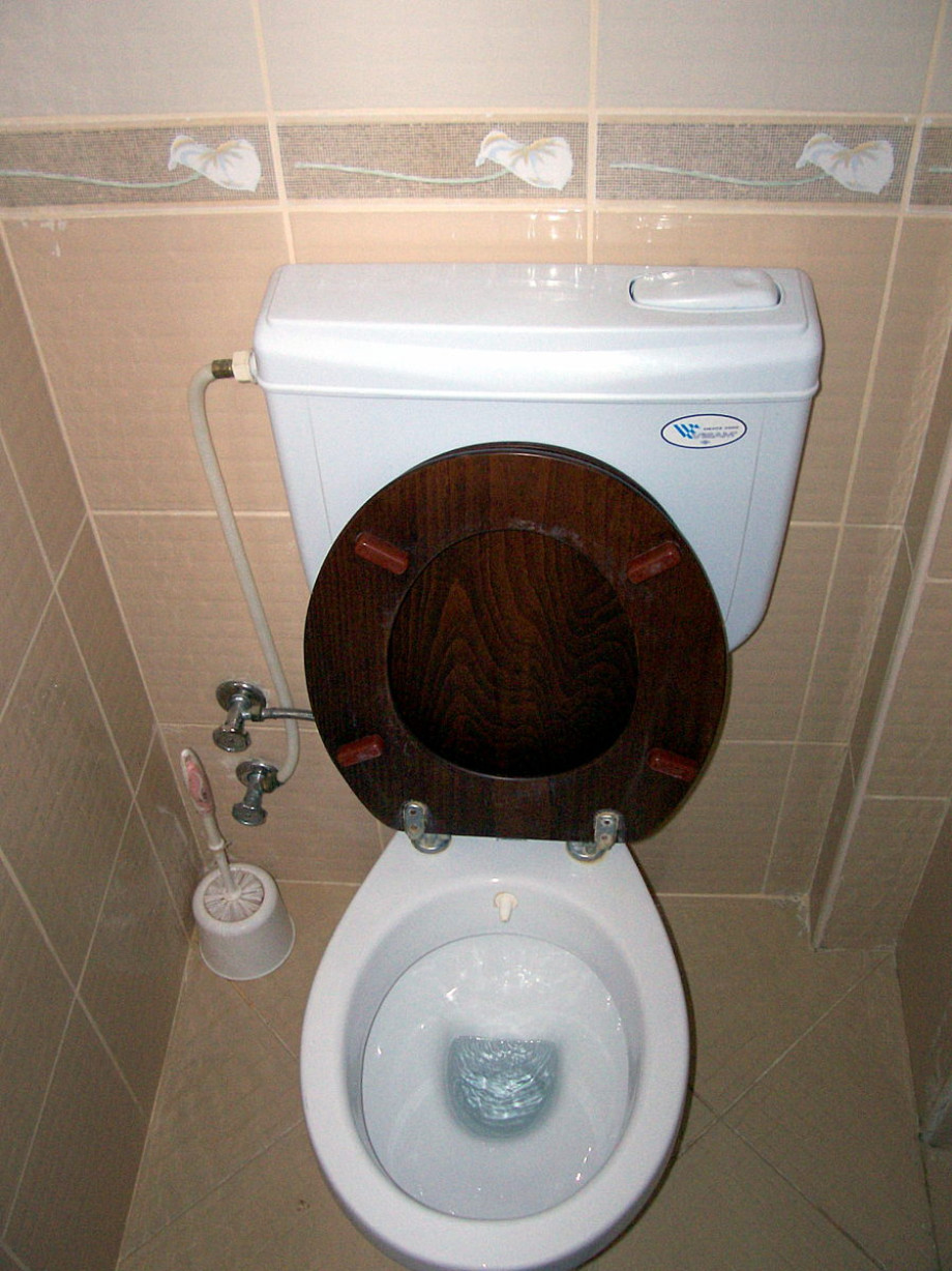 Туалет в интернет-кафе Rodina. Изображение 2