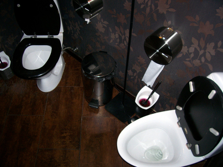 Туалет в Двух палочках напротив Пассажа. Изображение 2