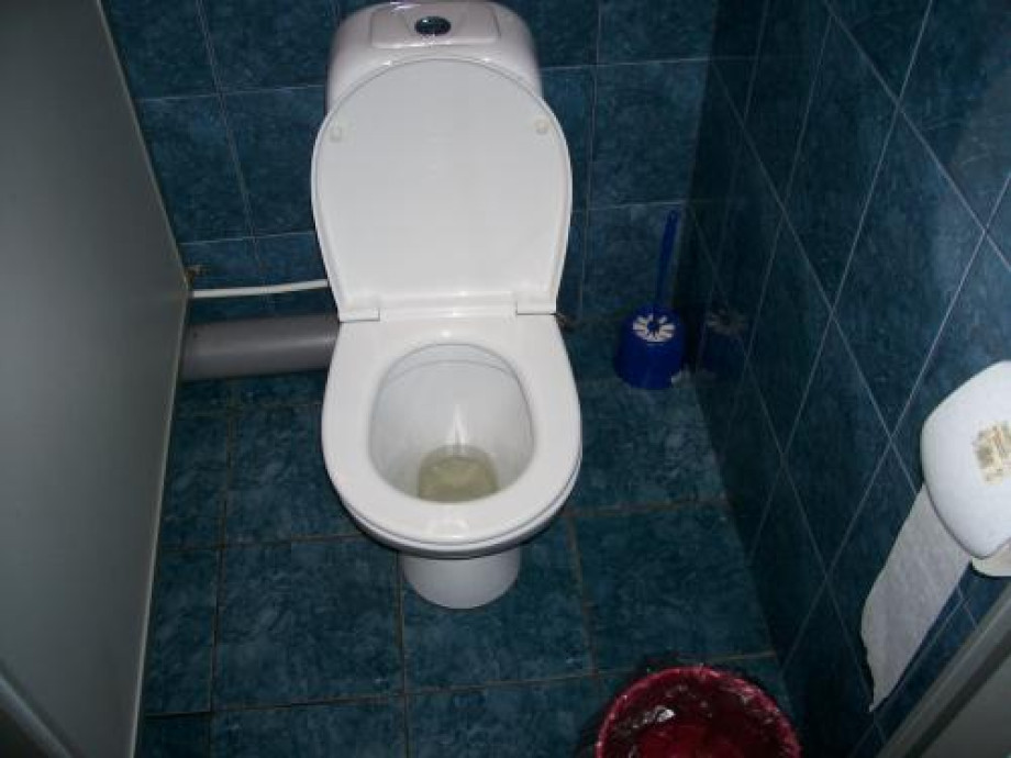 Туалет в Восточно-Европейском Институте Психоанализа. Изображение 2