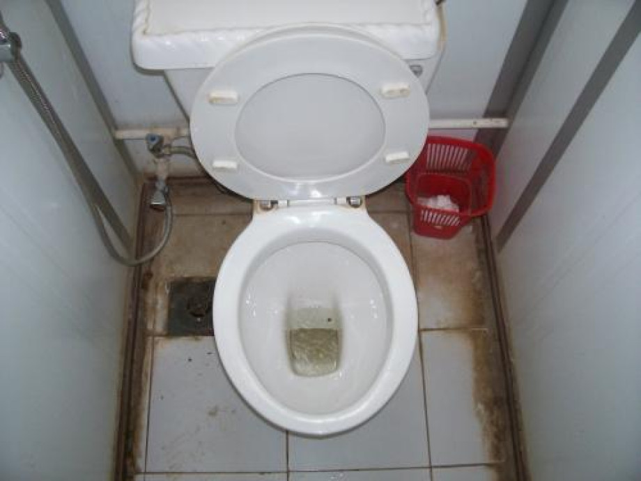 Туалет в Карнакском храме. Изображение 4