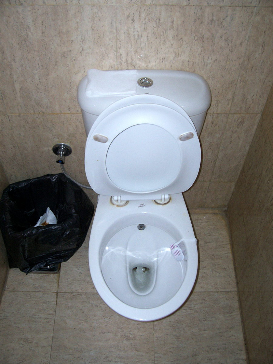 Туалет в луксорской рыгаловке для заезжих. Изображение 1