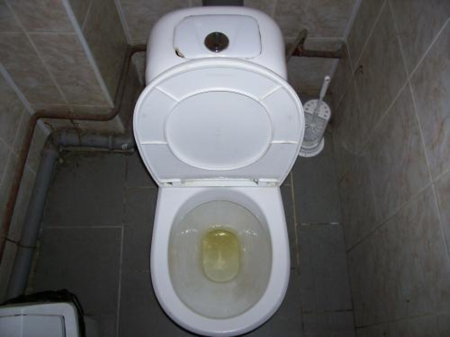 Туалет с забавными табличками в типографии Любавич. Изображение 2