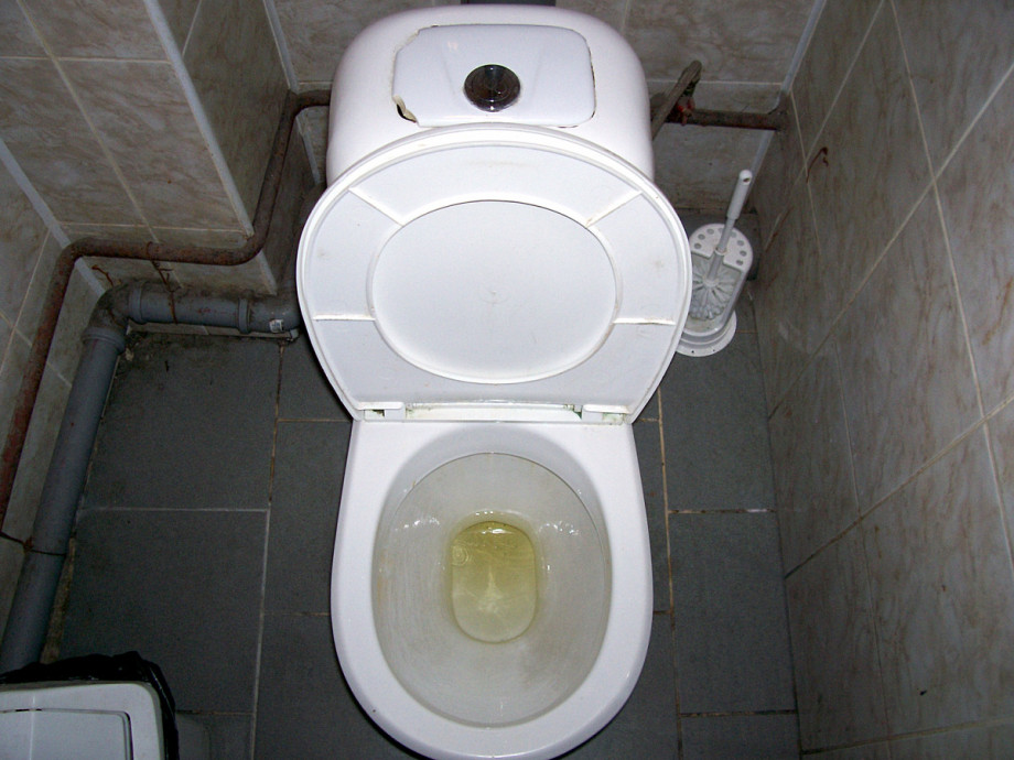 Туалет с забавными табличками в типографии Любавич. Изображение 4