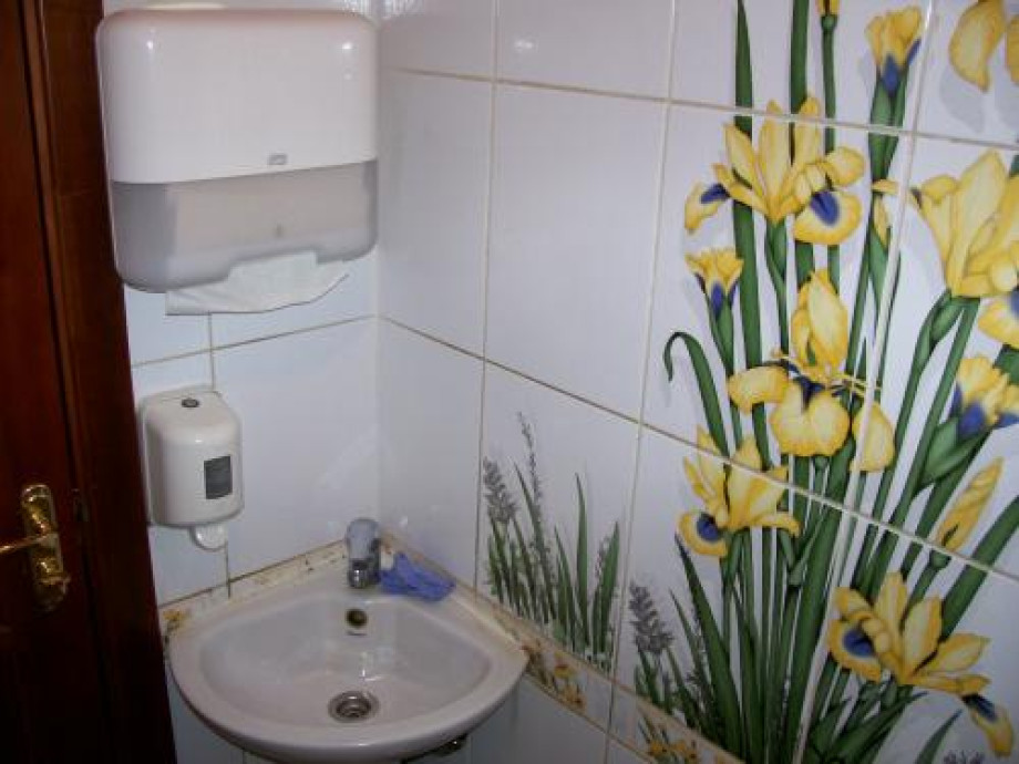 Туалет с цветами на стенах в "Огороде". Изображение 2