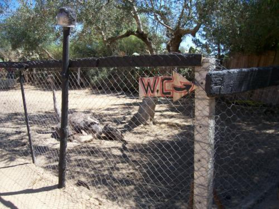 Туалеты на туристической остановке — страусиной ферме. Изображение 1