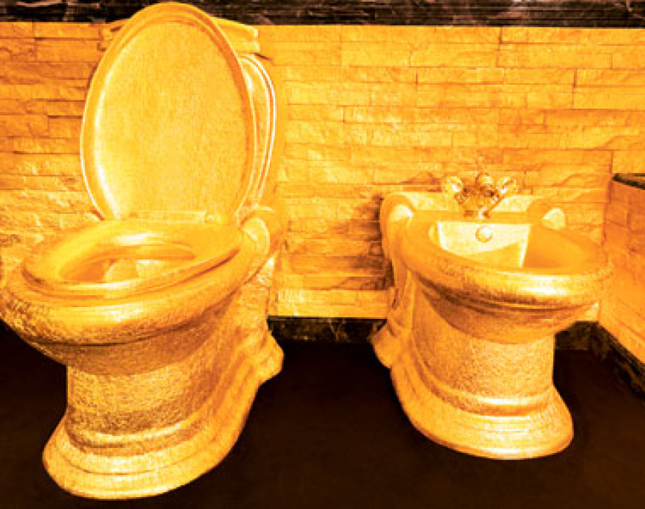 Золотой туалет в Swisshorn Gold Palace. Изображение 3