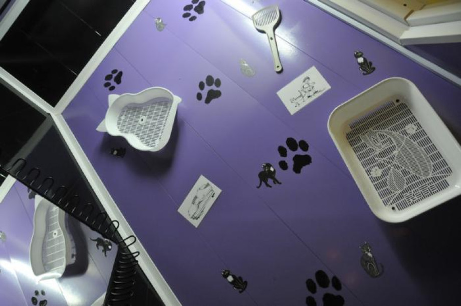 Туалет во всеволожском Музее Кошки. Изображение 3