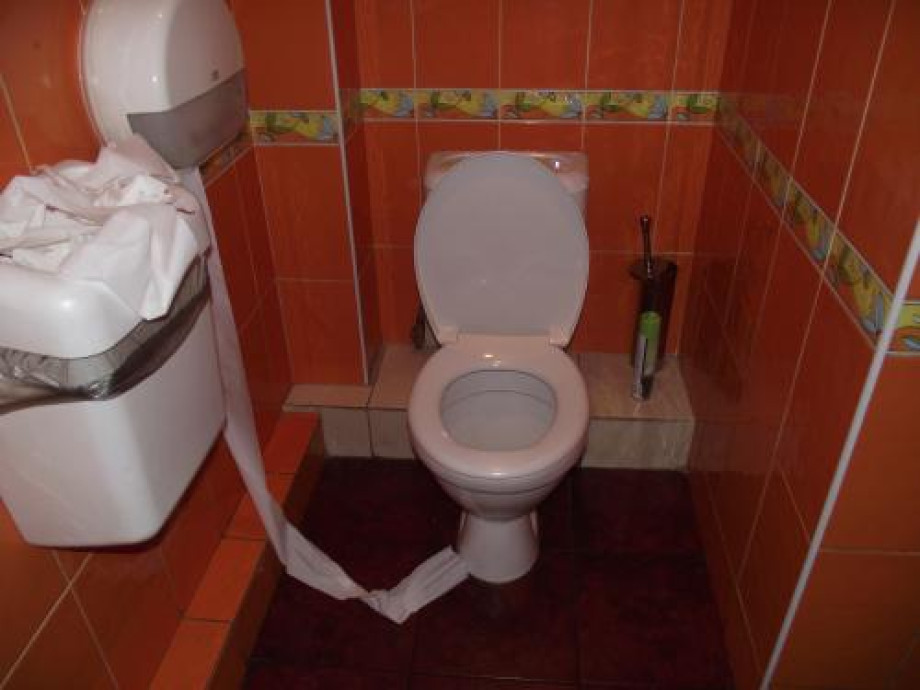 Туалет в «Чайной ложке» у метро Василеостровская. Изображение 1