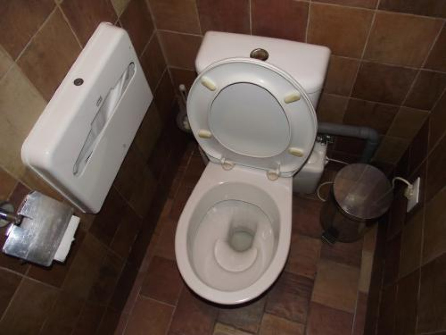 Туалет в ресторане Градъ Петровъ. Изображение 3