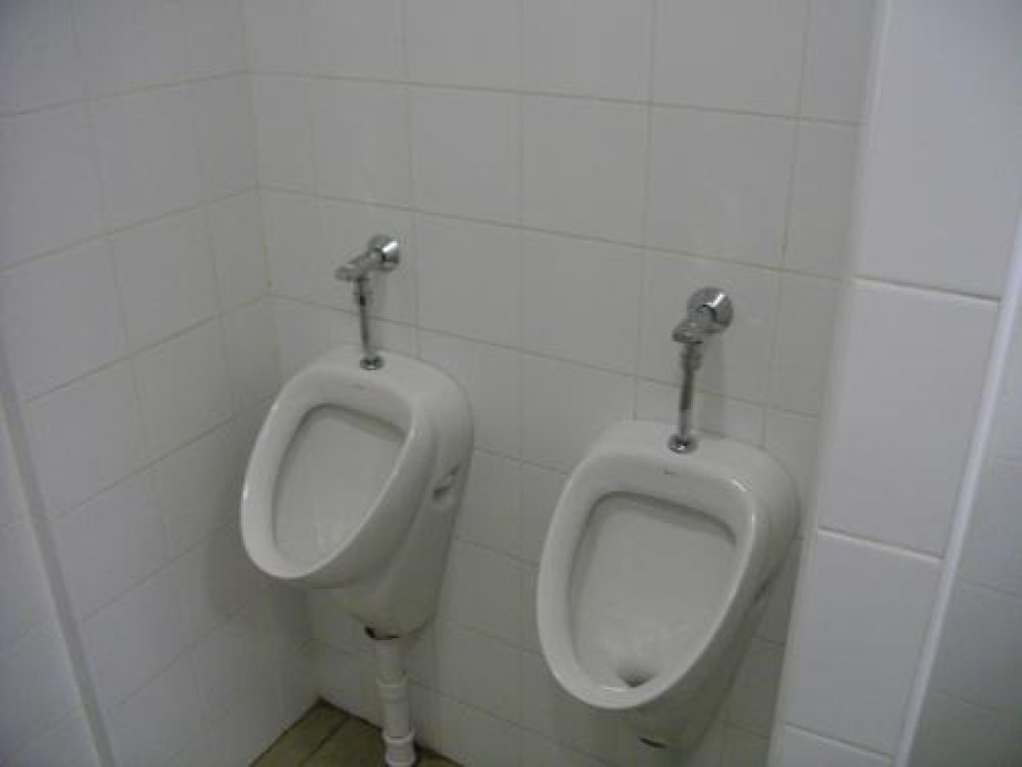 Туалет в торговом комплексе «Звенигородский». Изображение 2