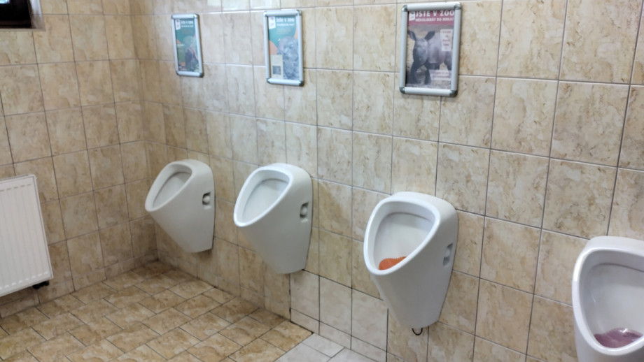 Туалет в зоопарке в Пльзне. Изображение 4