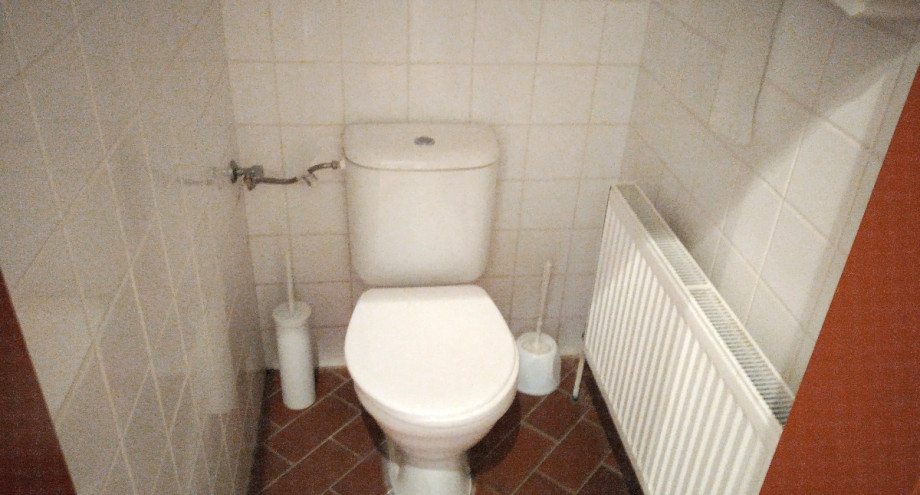 Туалет в парке Тройского замка. Изображение 2