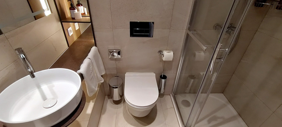 Туалет в номере Deluxe гостиницы Orea Resort Horal. Изображение 1