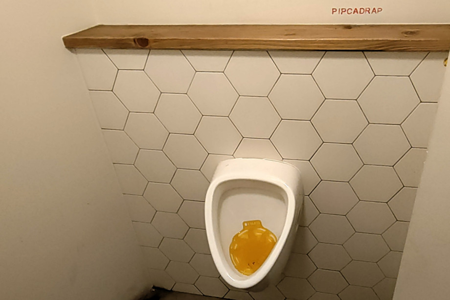 Туалет в PIPCA. Изображение 3