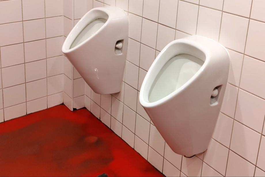 Туалет на остановке Свиновские мосты. Изображение 2