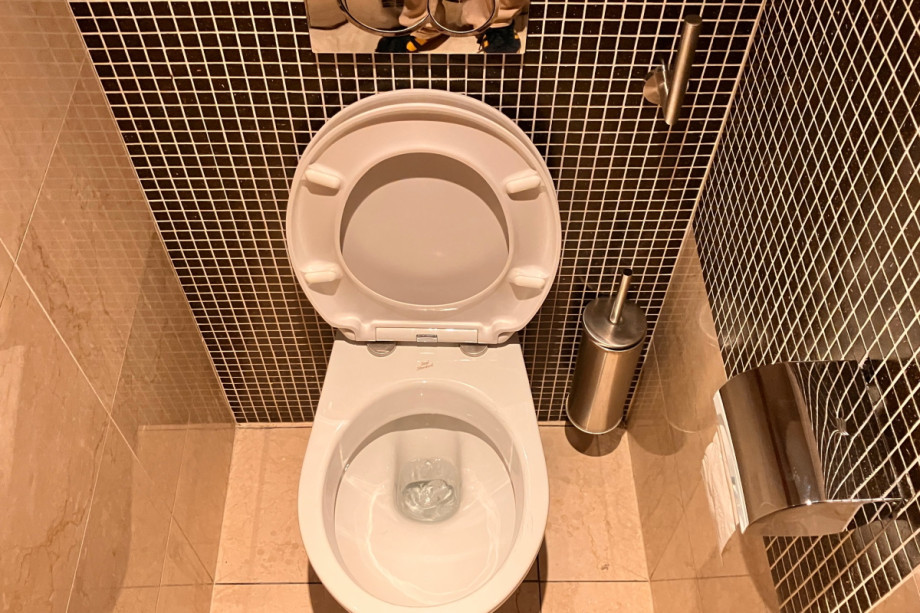 Туалет в холле гостиницы Hilton Prague. Изображение 4