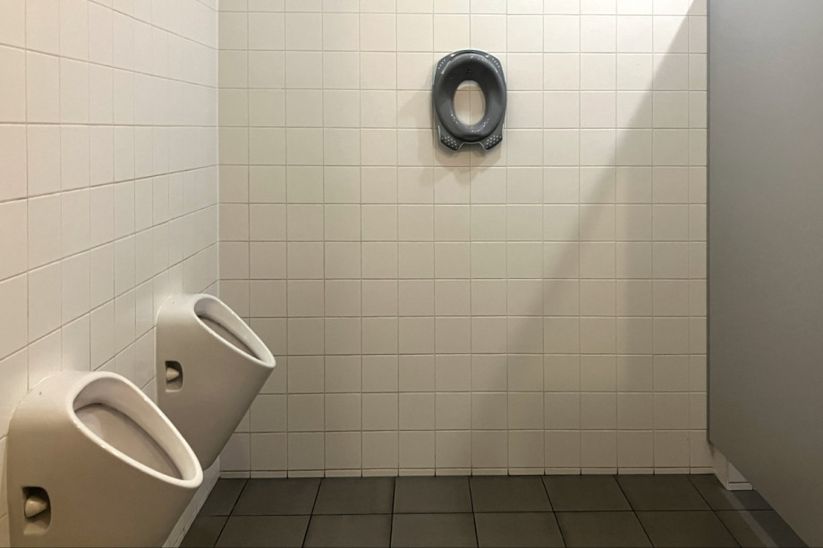 Туалет на экспозиции Техмании. Изображение 3