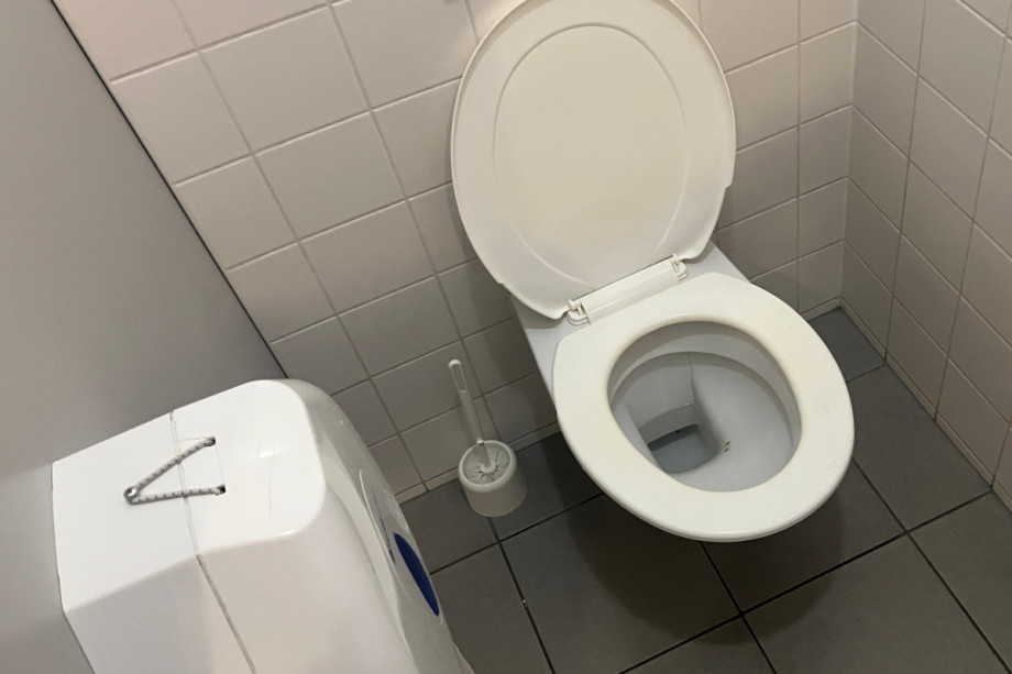 Туалет на экспозиции Техмании. Изображение 4