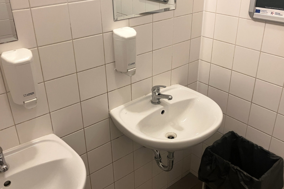 Туалет на экспозиции Техмании. Изображение 2