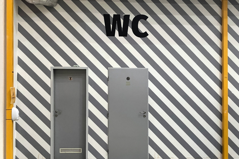 Туалет на экспозиции Техмании. Изображение 1