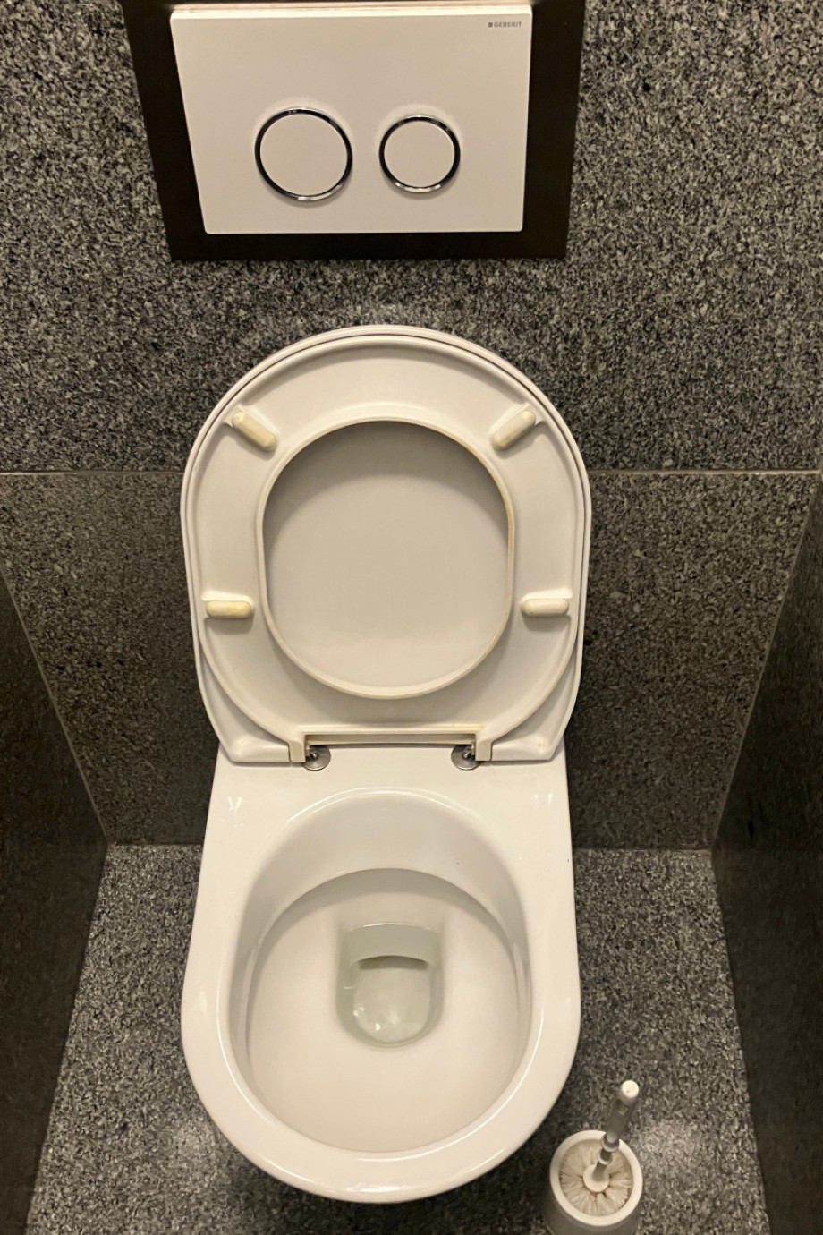 Туалет в Рудольфинуме. Изображение 3